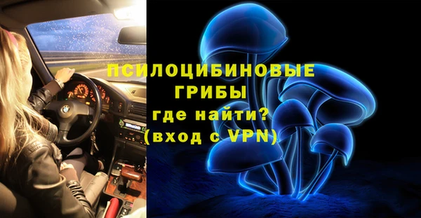 прущая мука Алзамай